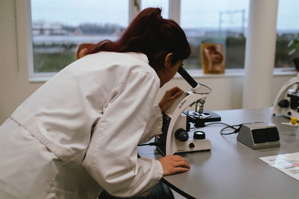 The Lorentz Experience